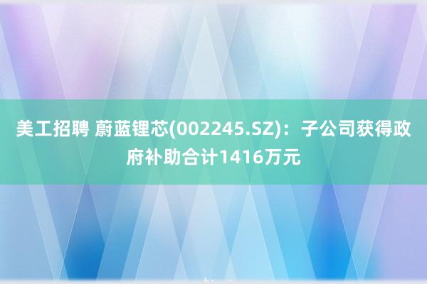 美工招聘 蔚蓝锂芯(002245.SZ)：子公司获得政府补助合计1416万元