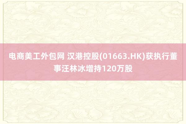 电商美工外包网 汉港控股(01663.HK)获执行董事汪林冰增持120万股