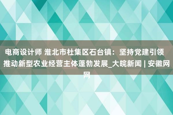 电商设计师 淮北市杜集区石台镇：坚持党建引领  推动新型农业经营主体蓬勃发展_大皖新闻 | 安徽网