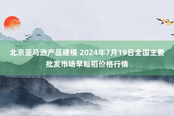 北京亚马逊产品建模 2024年7月19日全国主要批发市场早籼稻价格行情